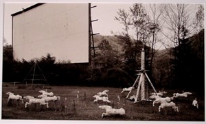 Image description is not available for 1996.012